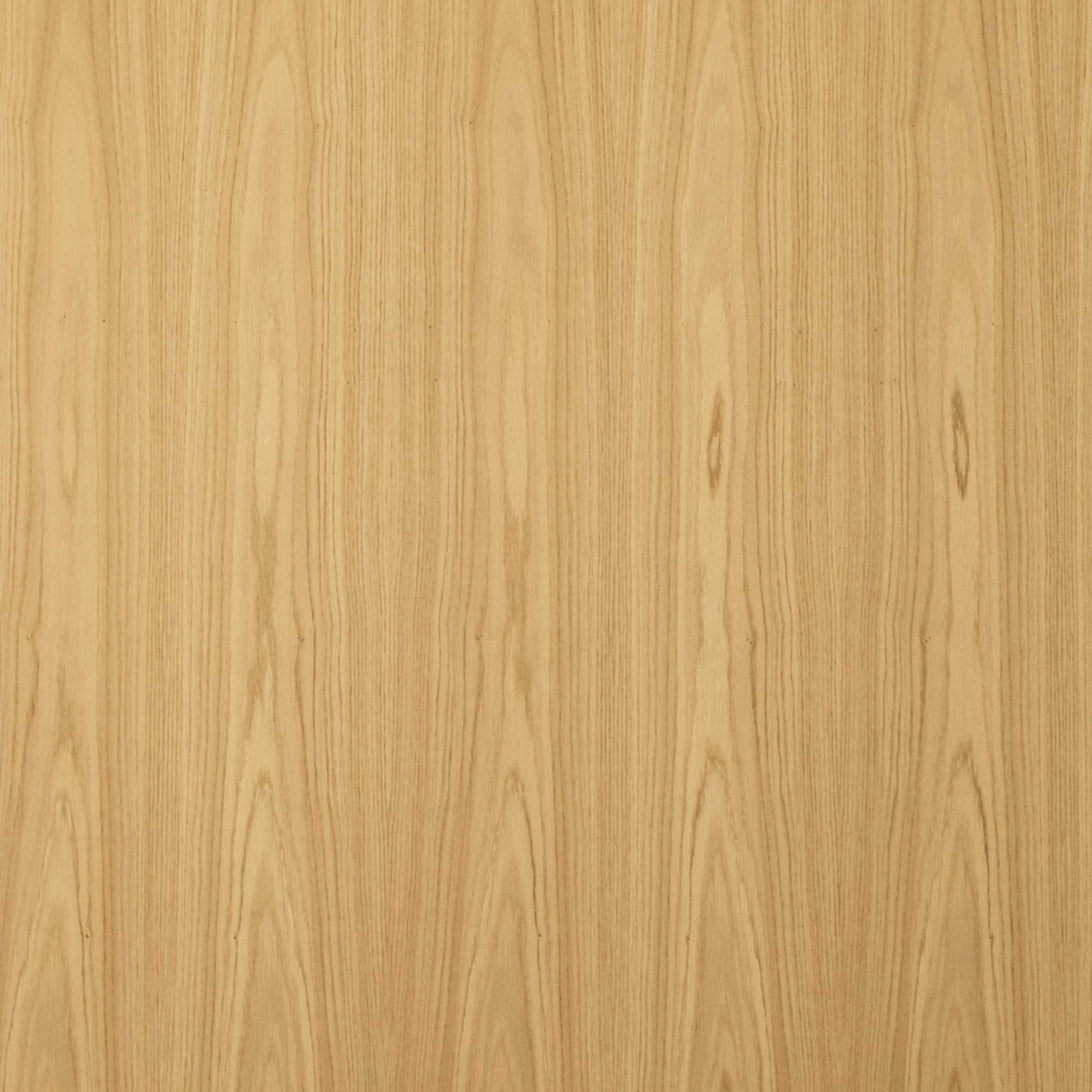 FN008 Eiken Dosse.jpg